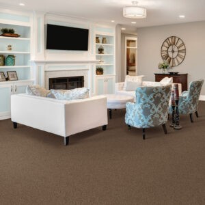 Family Room Carpet | Hopkins Floor Co